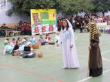 My Gallery (9/172)
